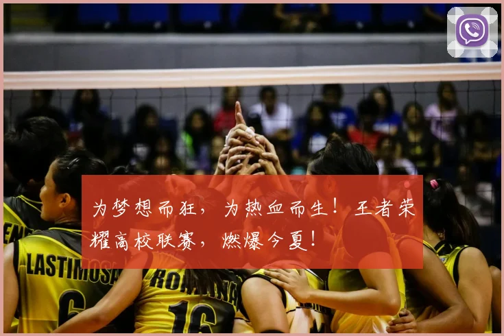 为梦想而狂，为热血而生！王者荣耀高校联赛，燃爆今夏！