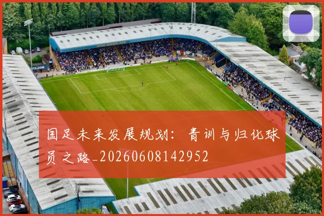 国足未来发展规划:青训与归化球员之路_20260608142952