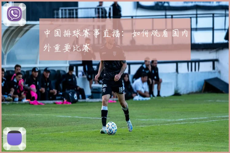 中国排球赛事直播：如何观看国内外重要比赛